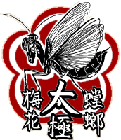 Taiji Mei Hua Tang Lang
